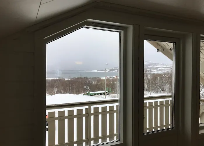 Lyngen