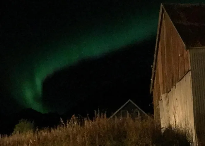 Lyngen